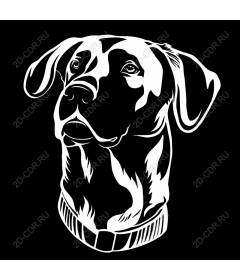 Portrait of a noble dog