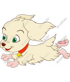  Charming playful puppy