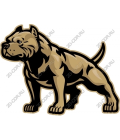 Muscular dog