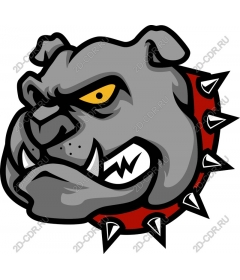  Ferocious bulldog
