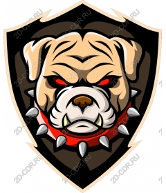  Ferocious bulldog
