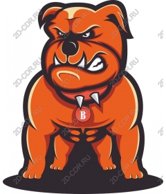  Ferocious bulldog