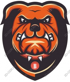 Head ferocious bulldog