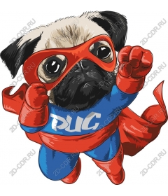Pug-superhero