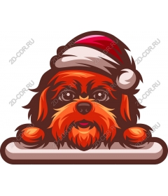  A festive dog in a Santa hat