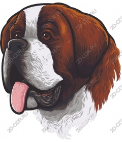  St. Bernard