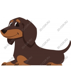  Adorable Dachshund