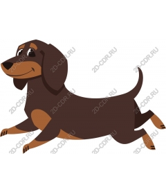  Dachshund Delight