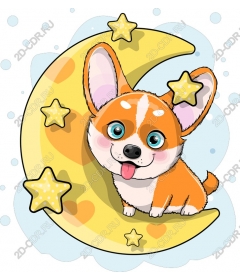  Corgi in the moonlight