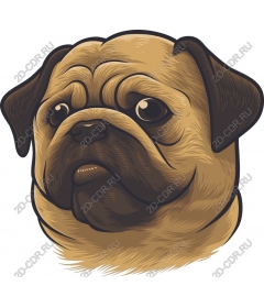 Love pug