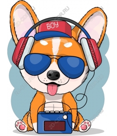  Corgi DJ