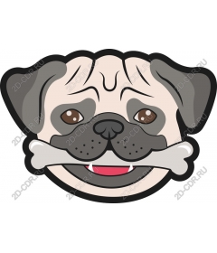  Pug with bone