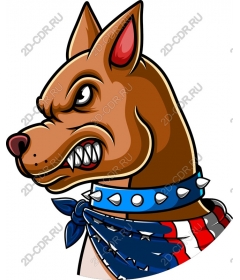  Angry dog