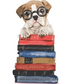  Adorable puppy on the books - work for dog lovers