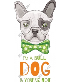  Fancy French bulldog. I'm a bulldog, and you're not!