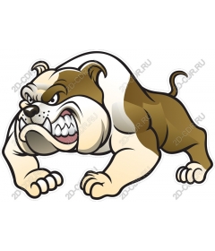  Ferocious bulldog