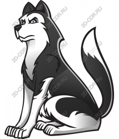  Ferocious husky