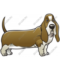  Adorable Basset hound