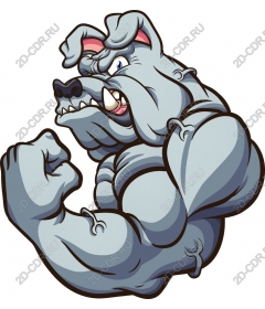  The mighty bulldog
