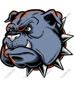 Head ferocious bulldog