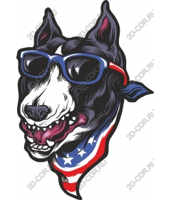  Patriotic dog in sunglasses