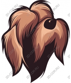  Adorable dog's head