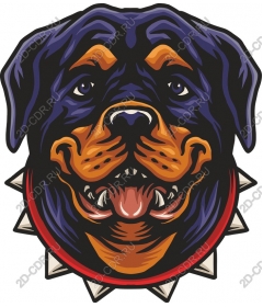  work Rottweiler