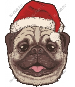  A festive Santa hat in the form of a pug