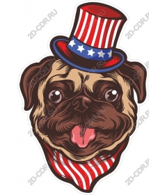  Patriotic pug