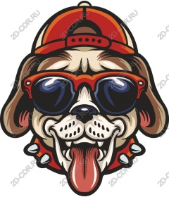  Cool Dog - Стильные солнцезащитные очки и кепка