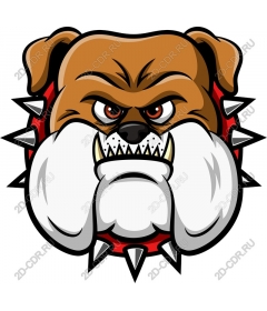  Ferocious bulldog