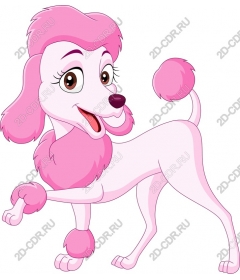  Bright pink poodle