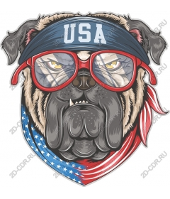  Patriotic bulldog