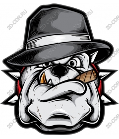  Ferocious bulldog with a cigar