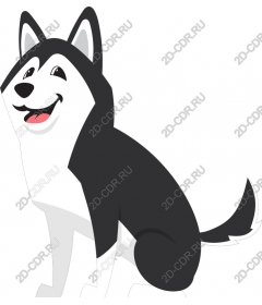 Playful and happy husky