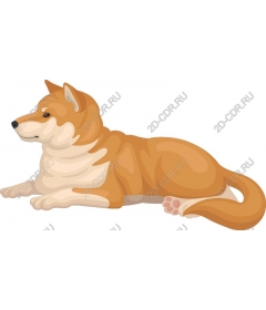  This is a quiet dog