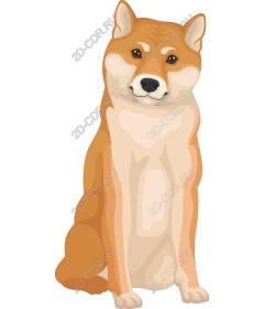 Adorable Shiba inu