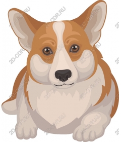  Corgi Charm