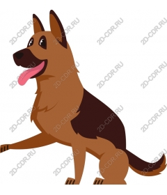  The German shepherd is a playful and versatile