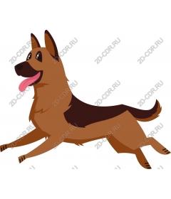  German shepherd playful