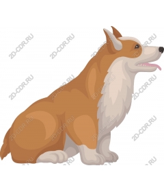  Corgi