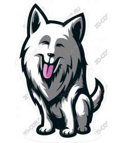  Adorable Samoyed