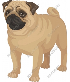  Pug Charm