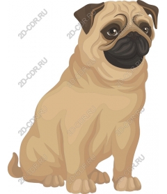 The pug is a Playful dog, Clipart and