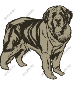 Magnificent dog