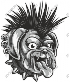 Punk bulldog