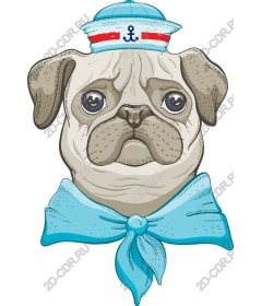 Pug sailor