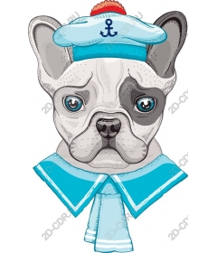 Marine French bulldog