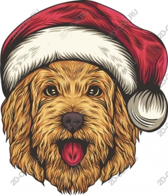  Festive Golden Retriever in Santa hat