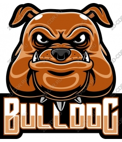  Ferocious bulldog
